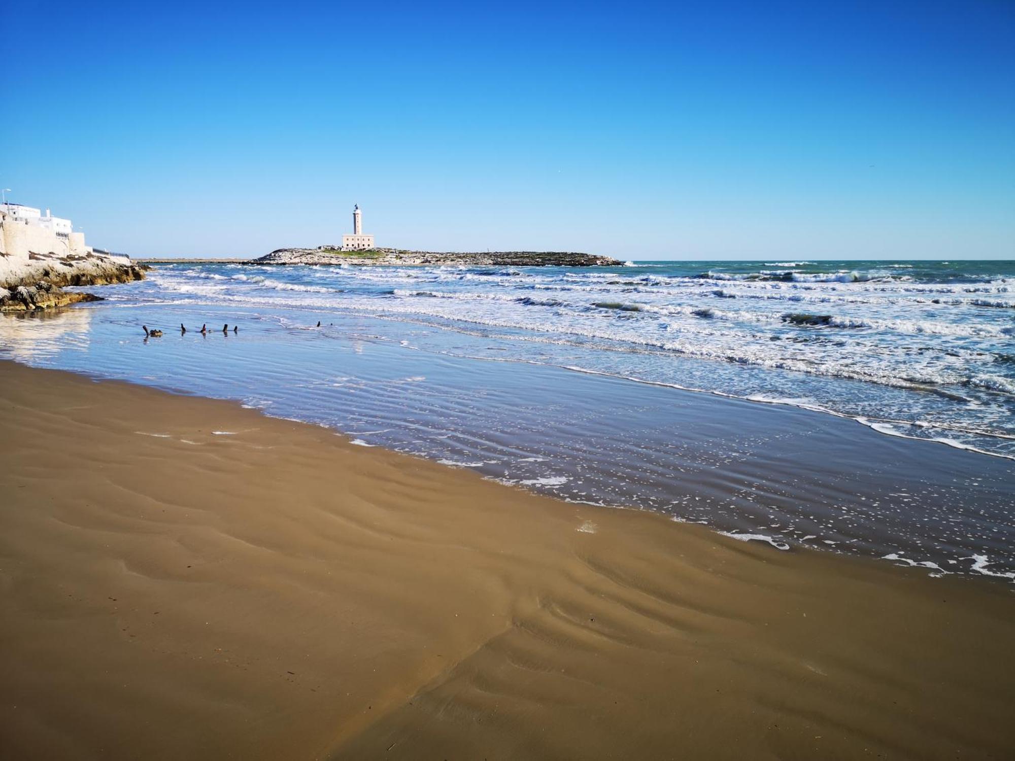 Portamarina Bed and Breakfast Βιέστε Εξωτερικό φωτογραφία